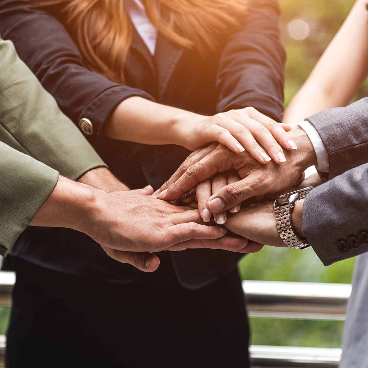 Click to visit see Our People